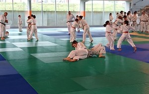 Stage dptal judo 